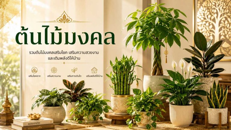 ต้นไม้มงคล: เสริมโชคลาภ เพิ่มพลังบวกให้บ้านและที่ทำงาน