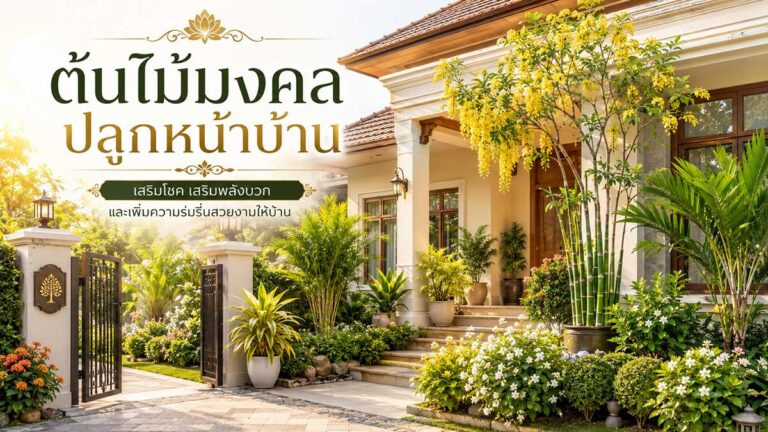 ต้นไม้มงคลปลูกหน้าบ้าน: เสริมโชคลาภ ความเป็นสิริมงคล และพลังบวกให้กับบ้าน